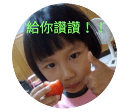 40594840