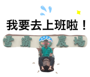 405986230