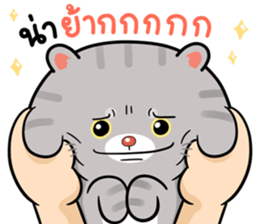 406011047