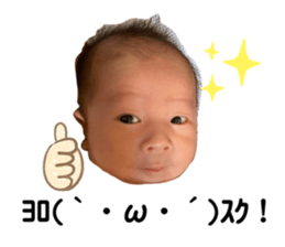 406012884