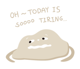 40604513