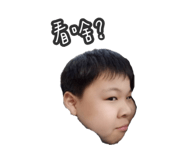 406075114