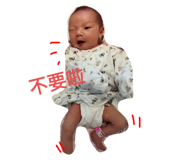 406086021