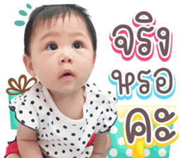 406087647