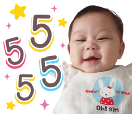 406087651