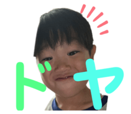 406094153