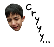 40618739