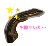 406191134