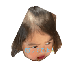 406205338