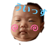406212646