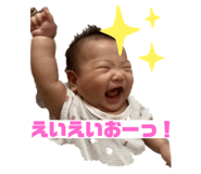 406212648