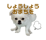 406215419