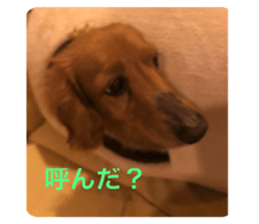 406224401