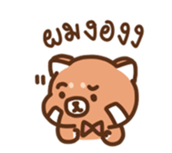 406240430