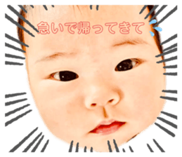 406252273