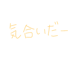 406261565