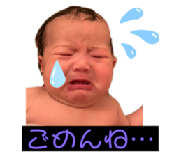 406339505