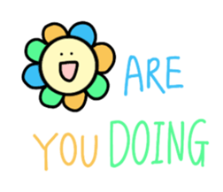 406462294