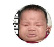 406480040