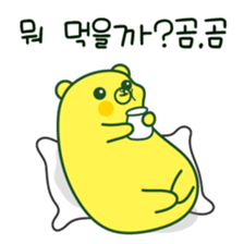 406493976
