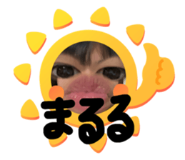 406496431