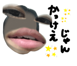 406496444