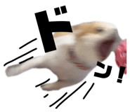 406503407