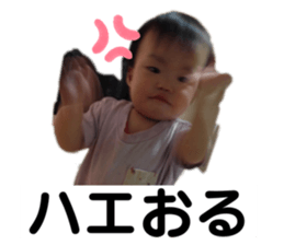 406506288