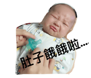 40651695