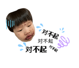 406537455