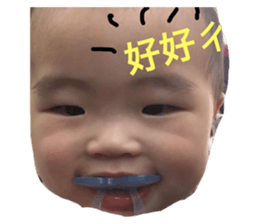 40659282