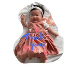 406597317