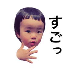 406600694