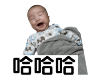 406608002