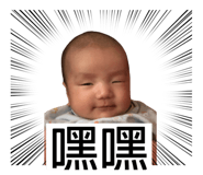 406608014