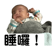 406608017