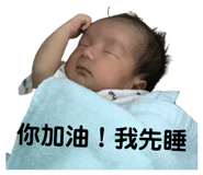 406608018