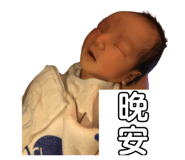 406608019