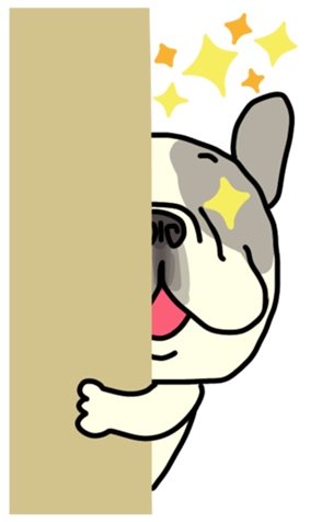 406635579