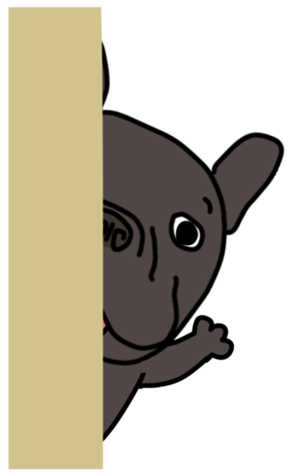 406635581