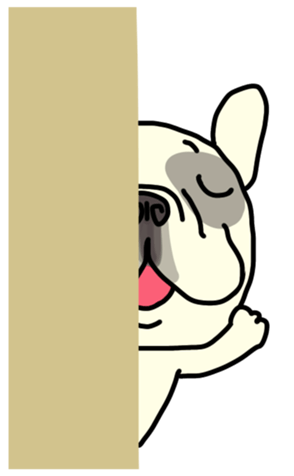 406635582