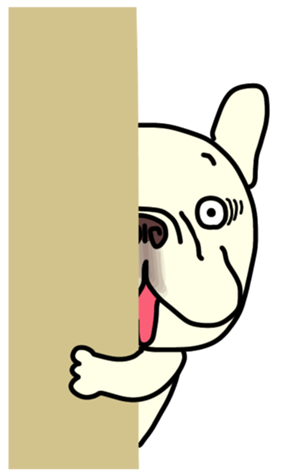 406635589