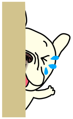406635592