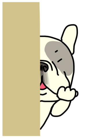 406635593