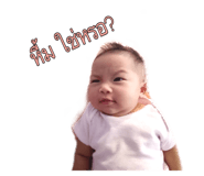 406644513