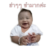 406644514