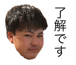 406652566