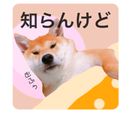 406711257