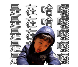 406754245
