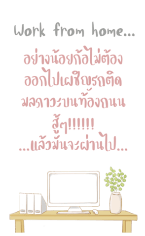 406763044